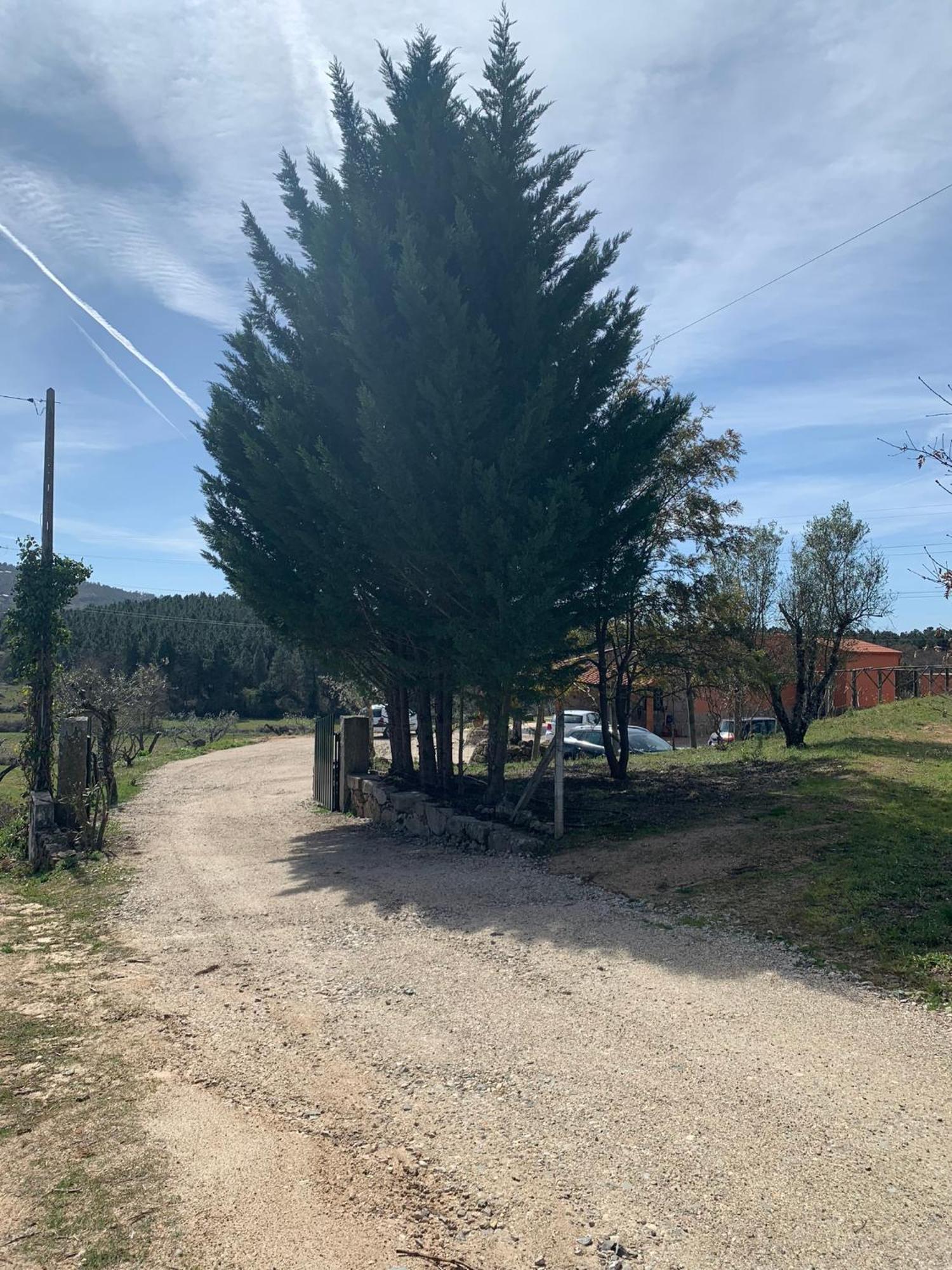 Quinta Dos Cedros L Turismo Rural Covilhã Buitenkant foto