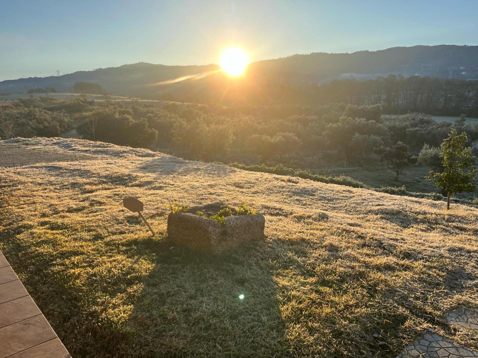 Quinta Dos Cedros L Turismo Rural Covilhã Buitenkant foto